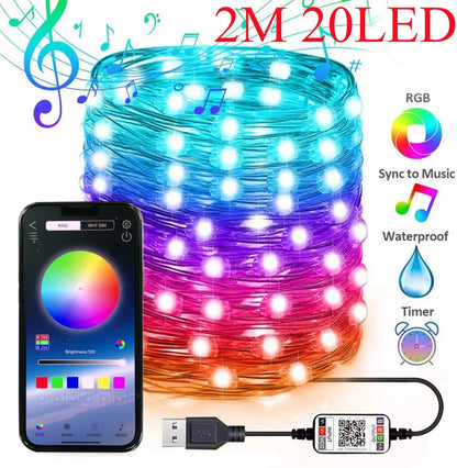 Smart RGB Christmas Fairy String Light APP Bluetooth Control Waterproof USB Copper Wire Lights 16 Colors New Year Decoration